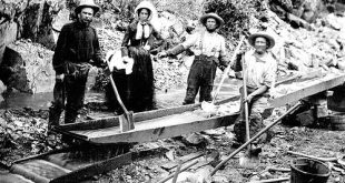 The gold rush