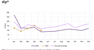 China gold market update Physical demand cools in May