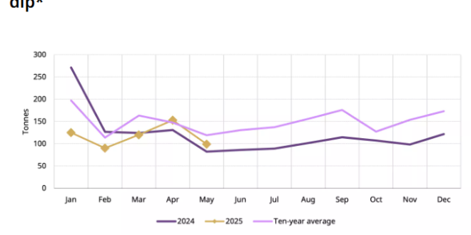 China gold market update Physical demand cools in May