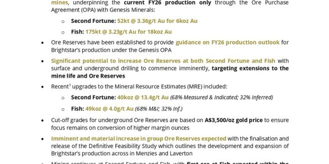 Menzies and Laverton Gold Projects Feasibility Study