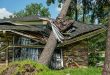 Texas Lawmakers Delay Significant Home Insurance Relief "Nothing Was Done"