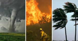 When Home Insurance Dries Up The Surprising Way Climate Risk Is Forcing Homeowners To Rethink Where They Live