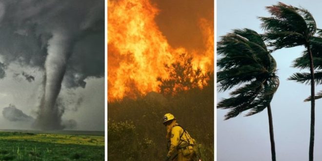 When Home Insurance Dries Up The Surprising Way Climate Risk Is Forcing Homeowners To Rethink Where They Live