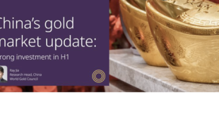 China Gold Market Update Strong Investment in H1
