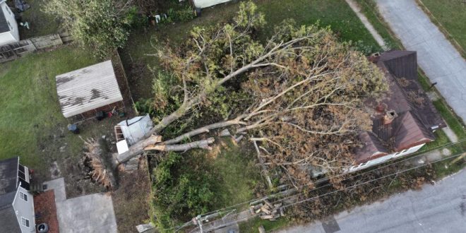 SC Home Insurance Rates Could Spike for 2025 Hurricane Season Projected Costs and Savings Tips