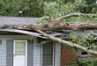 Home Insurance Coverage for Storm Damage Fallen Trees and Damaged Cars